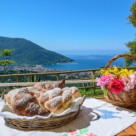 Drius Edode - B&B Affittacamere Torraca Buitenkant foto