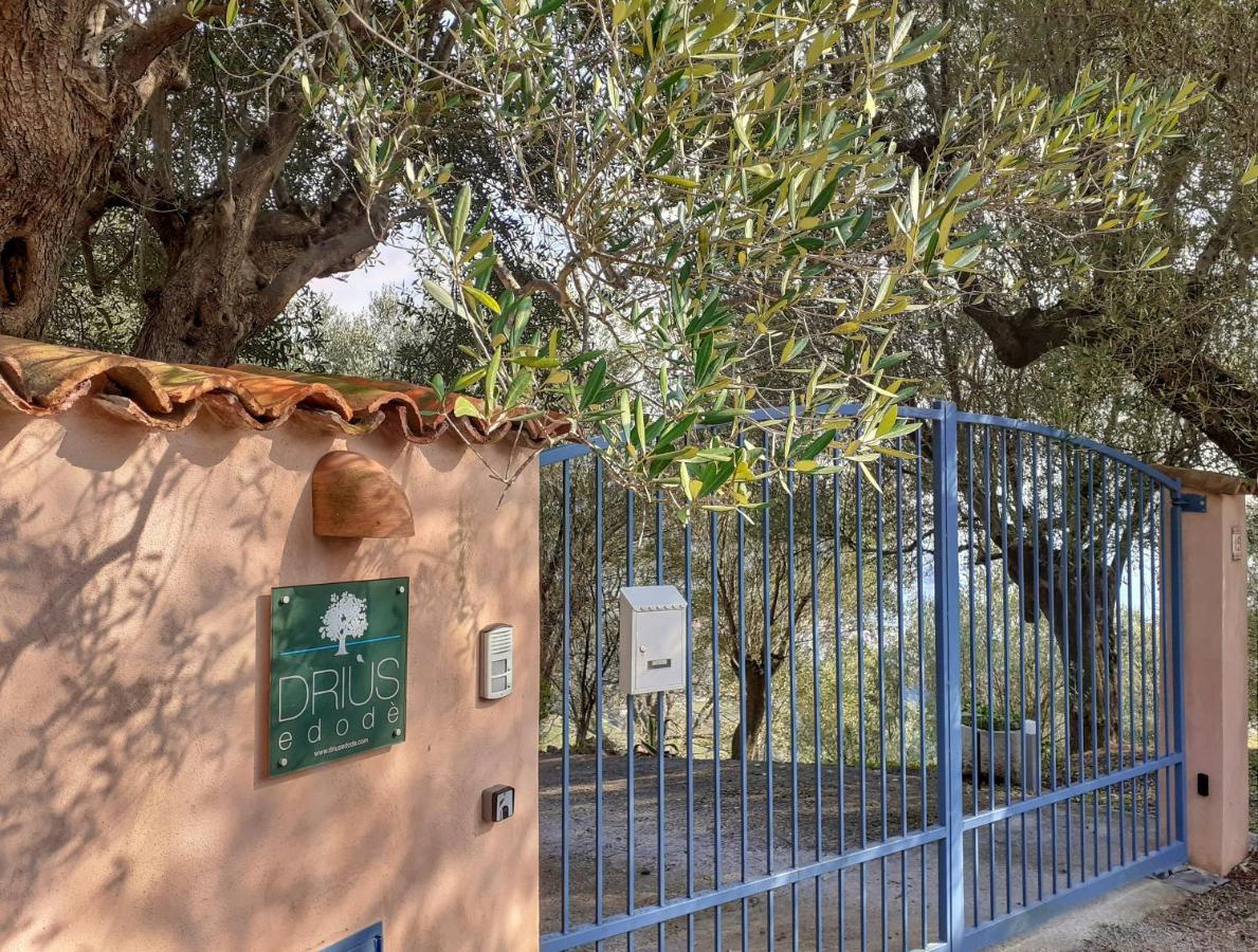 Drius Edode - B&B Affittacamere Torraca Buitenkant foto