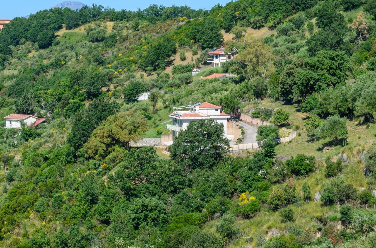 Drius Edode - B&B Affittacamere Torraca Buitenkant foto