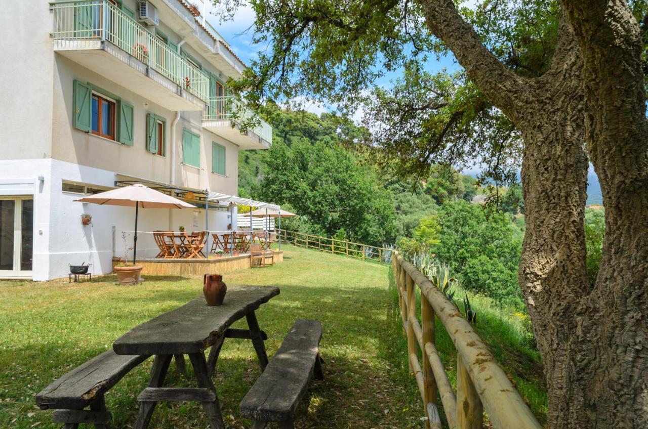 Drius Edode - B&B Affittacamere Torraca Buitenkant foto