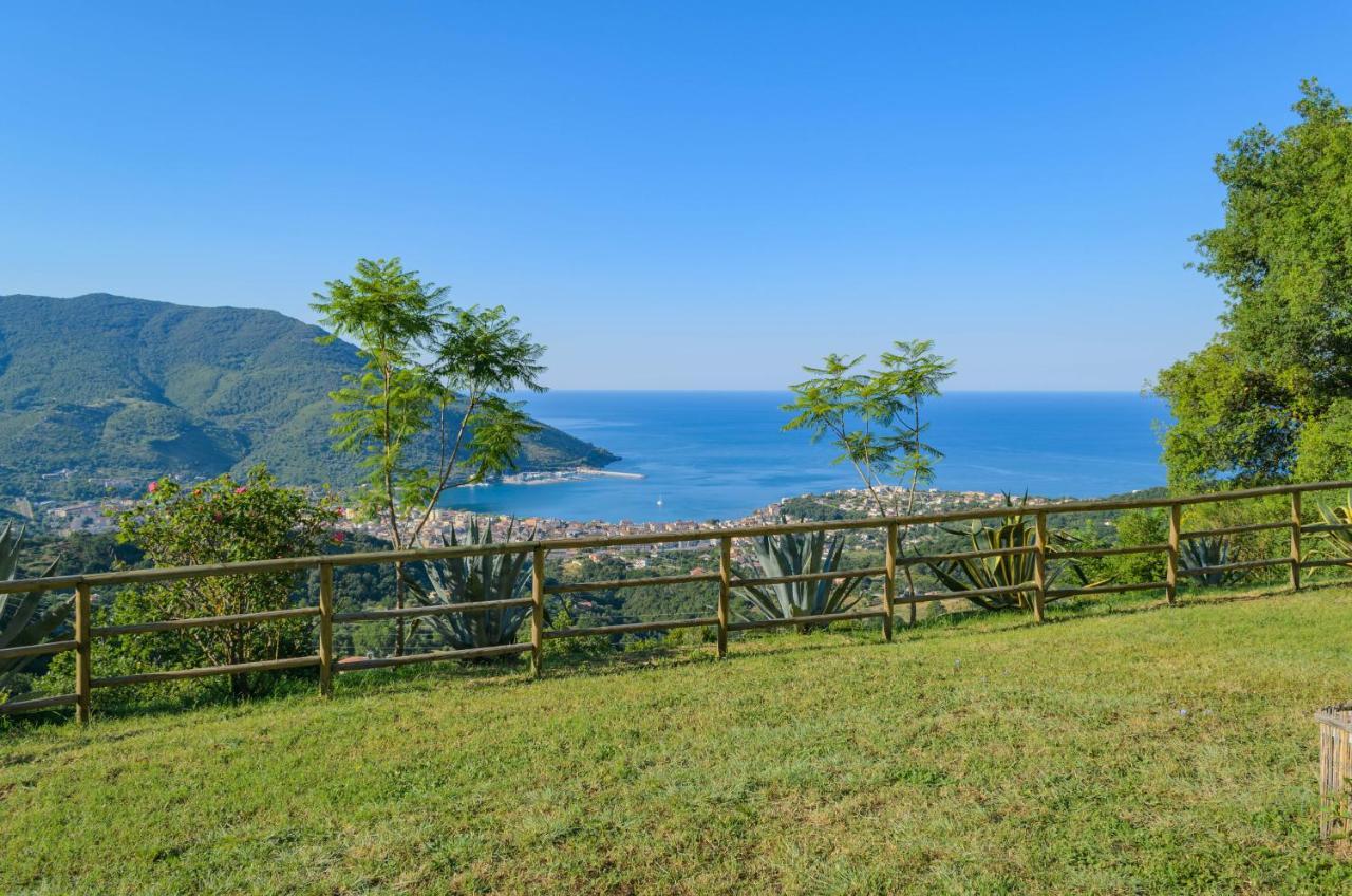 Drius Edode - B&B Affittacamere Torraca Buitenkant foto