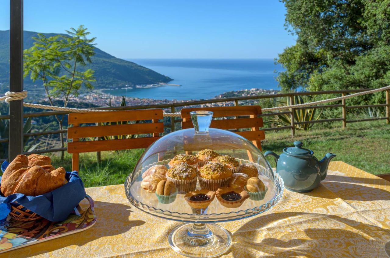 Drius Edode - B&B Affittacamere Torraca Buitenkant foto