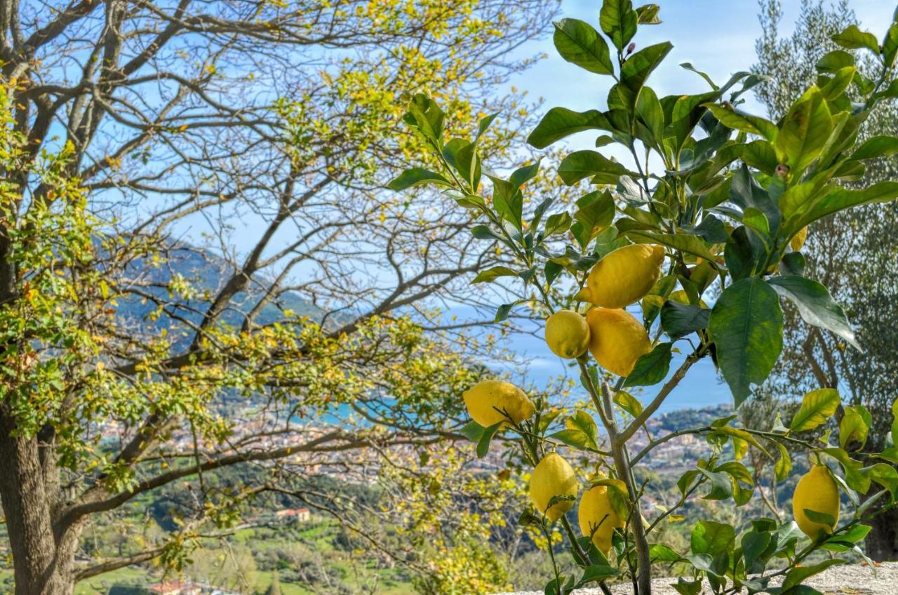 Drius Edode - B&B Affittacamere Torraca Buitenkant foto